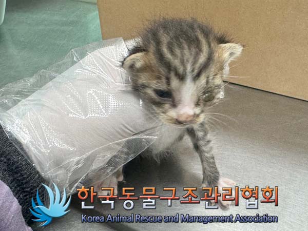 한국동물구조관리협회_441382202400542